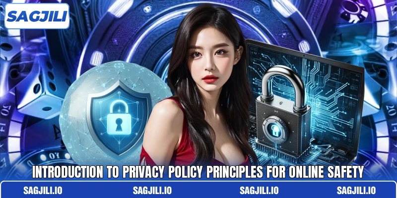 Introduction to privacy policy principles for online safety Introduction to privacy policy principles for online safety